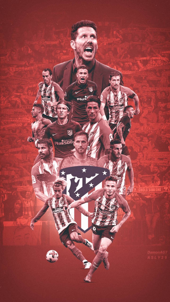 多年摊销 多年摊销